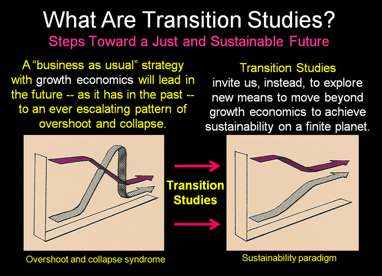 Transition-Studies